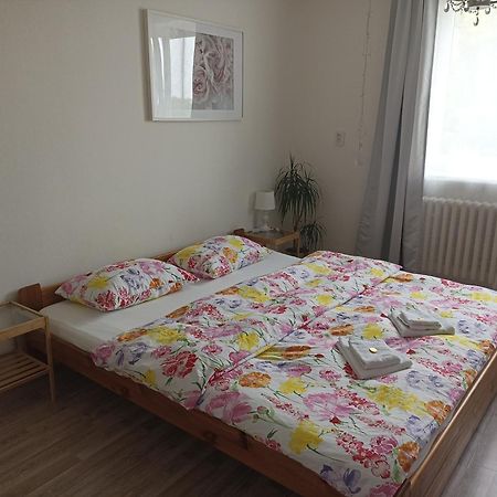 Ubytovani V Rodinnem Dome Ostopovice Екстериор снимка